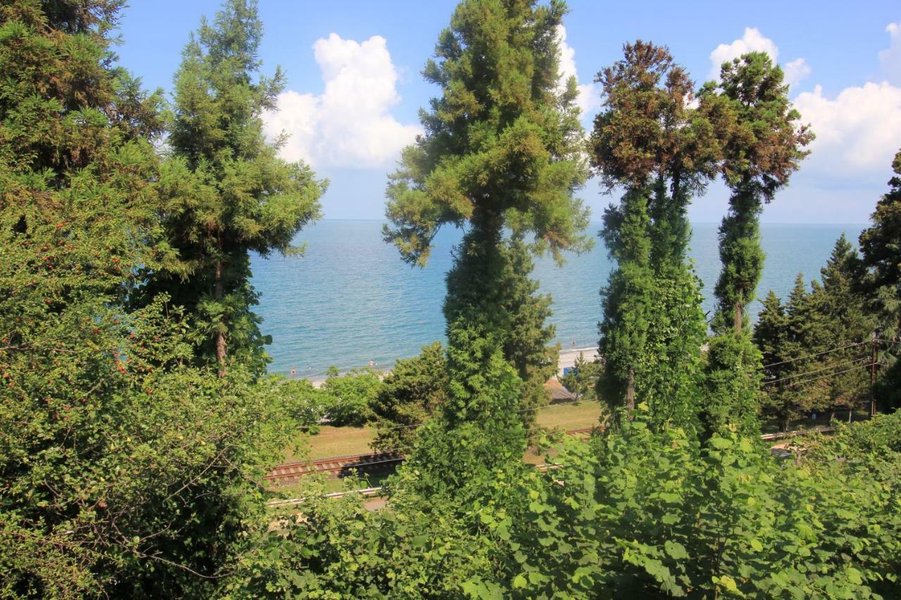 Feride Hotel Makhindzsauri Kültér fotó